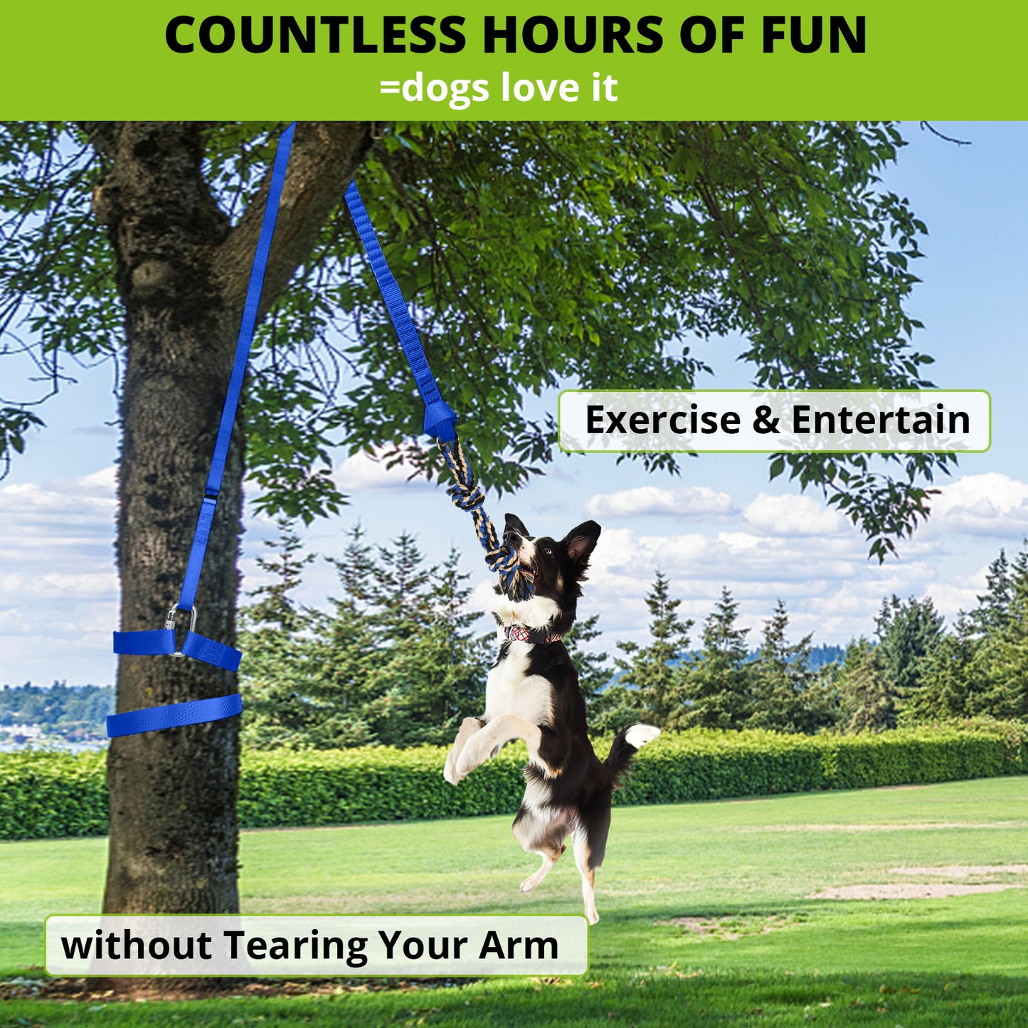 Dog Hanging Bungee Tug Toy: Interactive Tether Tug-of-War for Pitbull Small to Large Dogs to Exercise and Fun Solo Play - Durable Retractable Tugger Dog Rope Toy with 2 Chew Rope Toys
