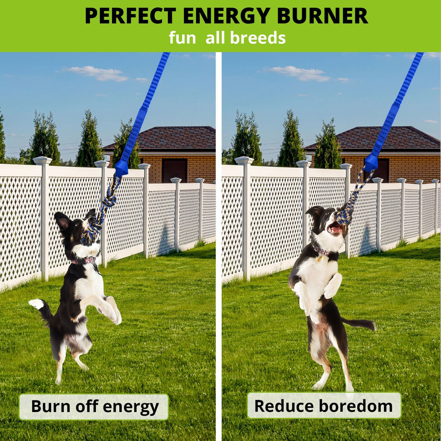Dog Hanging Bungee Tug Toy: Interactive Tether Tug-of-War for Pitbull Small to Large Dogs to Exercise and Fun Solo Play - Durable Retractable Tugger Dog Rope Toy with 2 Chew Rope Toys