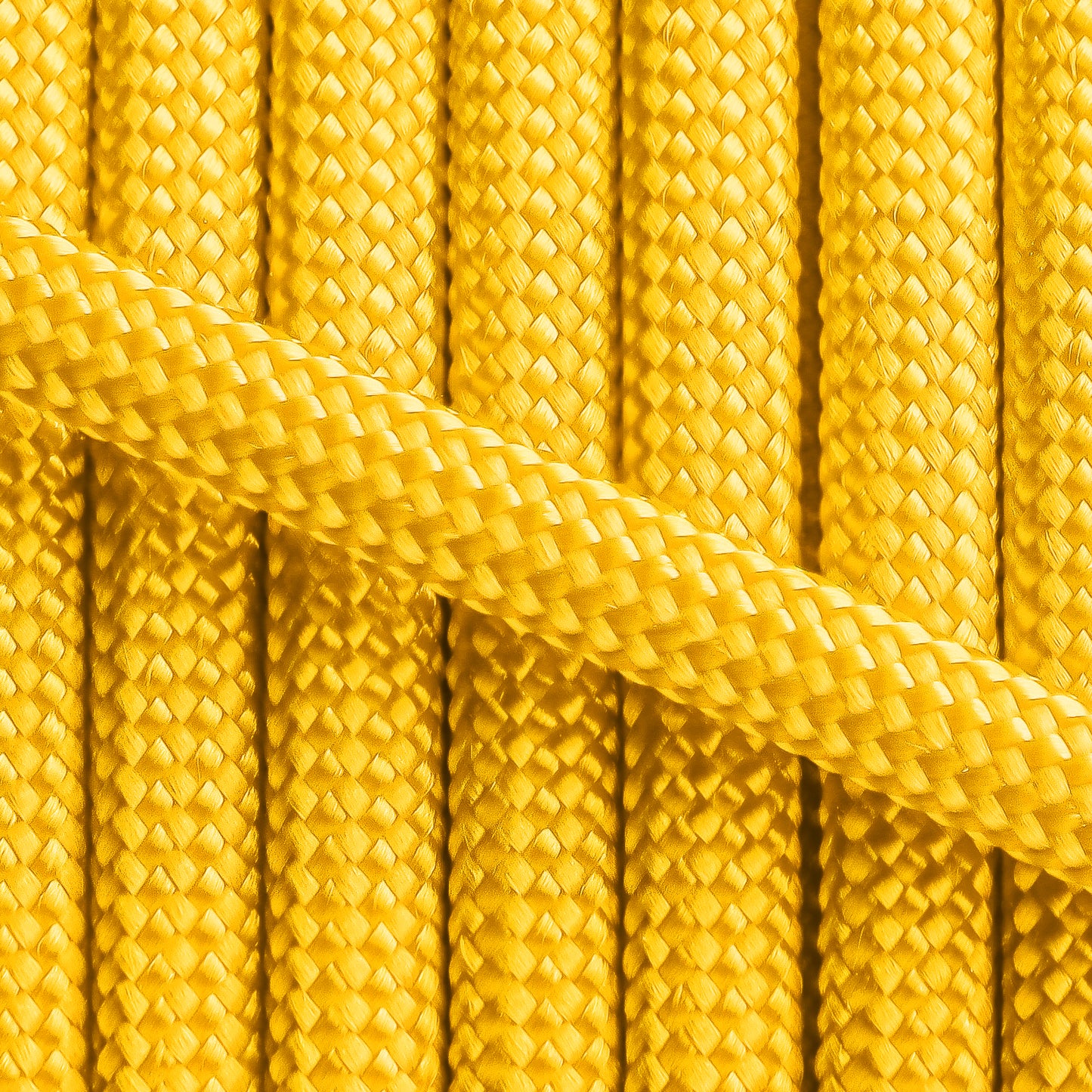 Paracord Rope 850 lb - 100 ft / 200 ft / 500 ft / 1000 ft 4MM Strong Heavy-Duty Parachute Spool para Cord Lanyard for Crafting, Tent, Camping, Clothes line, Hiking, Fishing, Survival Bracelet